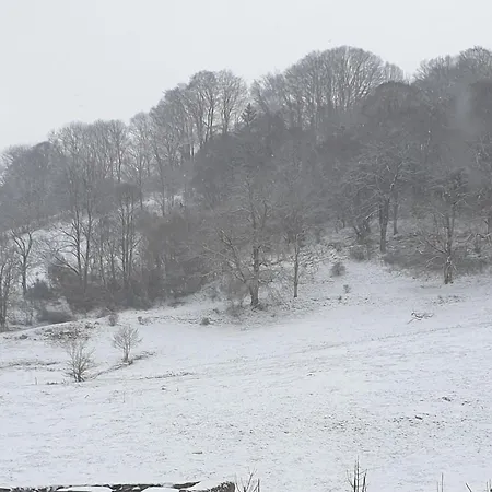 Sas Road Runner Café 3*